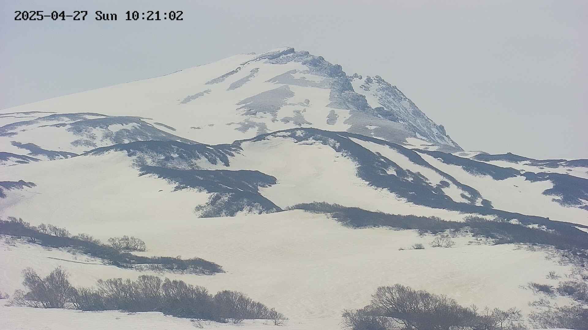 area4-20250427102107.jpg
