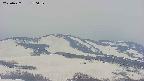 area4-20250427170059.jpg