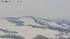 area4-20250427171102.jpg