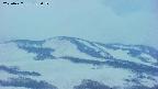 area4-20250427183059.jpg