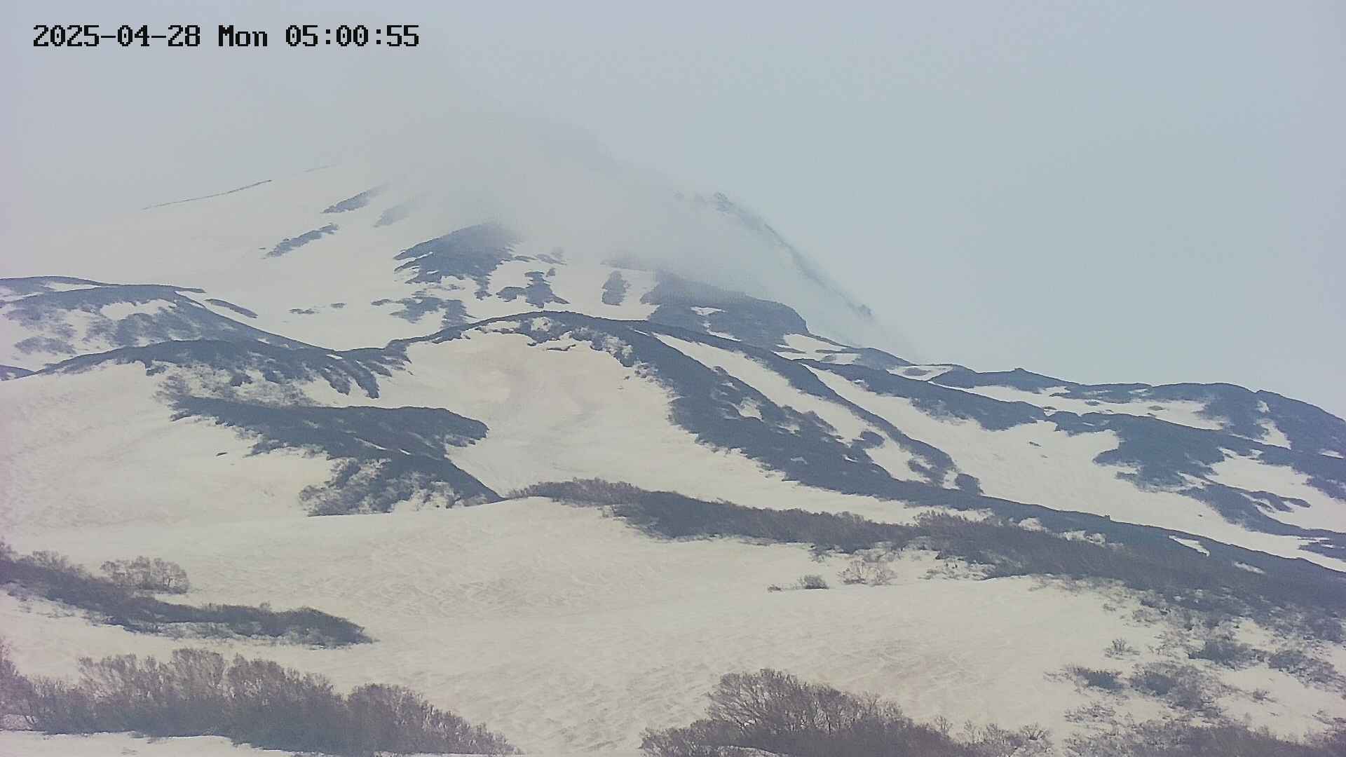area4-20250428050056.jpg
