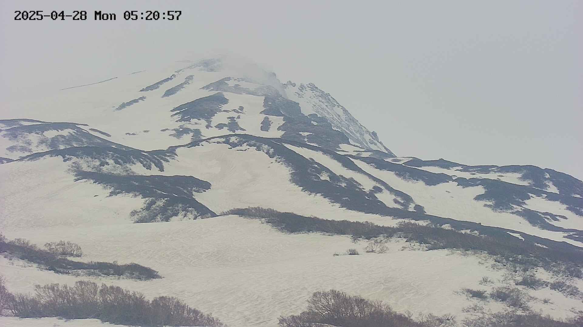 area4-20250428052058.jpg
