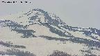 area4-20250428090059.jpg