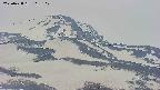 area4-20250428115102.jpg