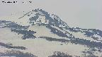 area4-20250428123104.jpg