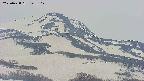area4-20250428145107.jpg