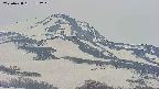 area4-20250428150232.jpg