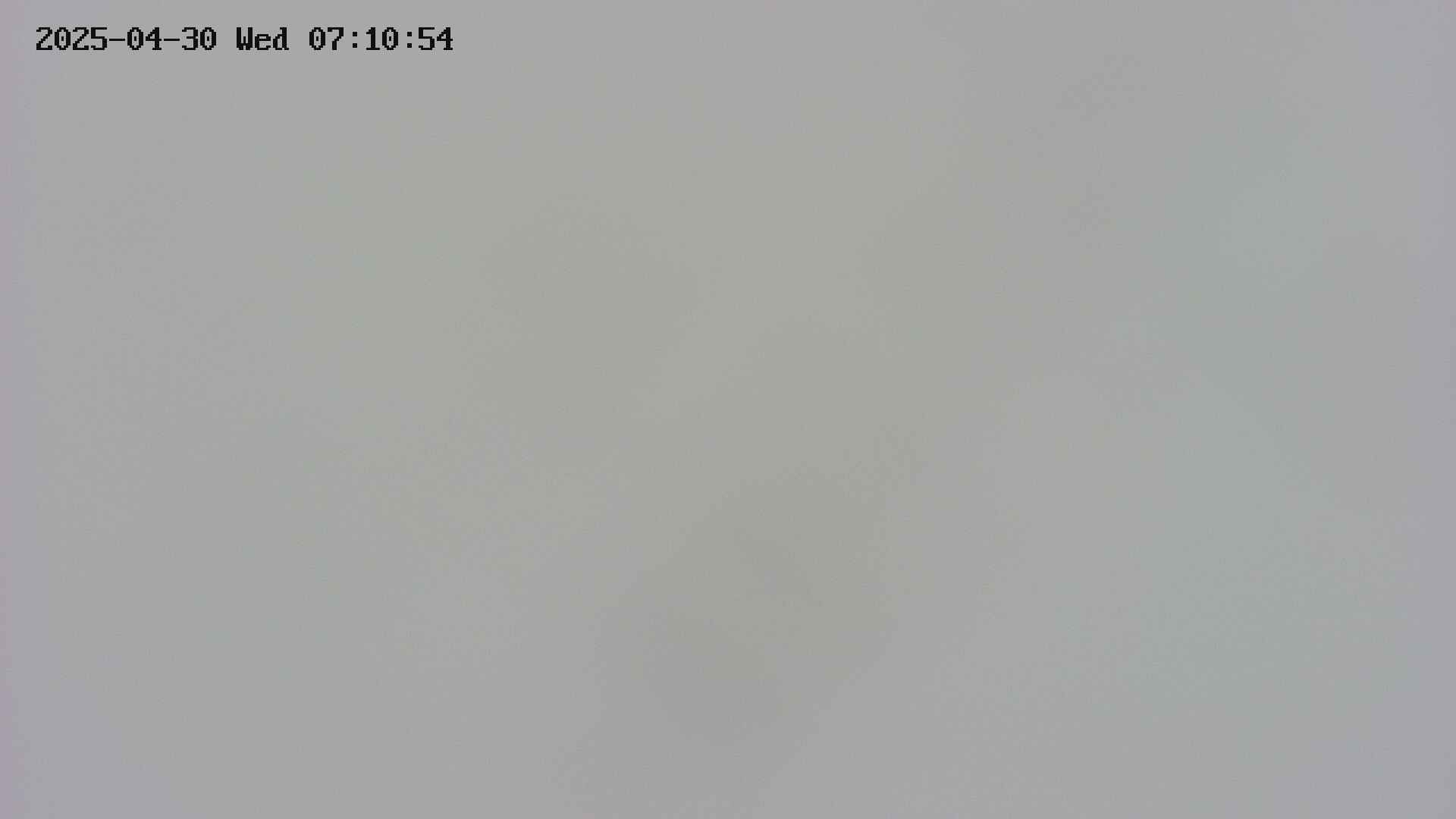 area4-20250430071054.jpg