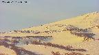 area4-20250501050057.jpg