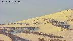 area4-20250501051056.jpg