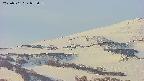 area4-20250501052057.jpg
