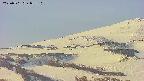 area4-20250501053110.jpg