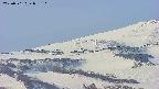area4-20250501055108.jpg