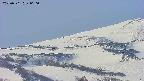 area4-20250501060058.jpg