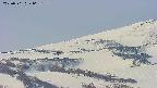 area4-20250501062143.jpg
