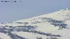 area4-20250501063114.jpg