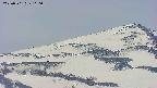 area4-20250501110057.jpg