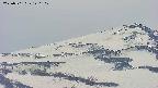 area4-20250501120103.jpg