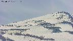 area4-20250501133108.jpg