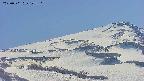 area4-20250501143128.jpg