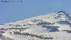area4-20250501150150.jpg