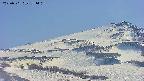 area4-20250501151414.jpg