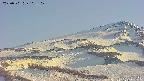area4-20250501163103.jpg