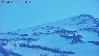 area4-20250501185057.jpg