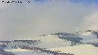 area4-20250502055101.jpg