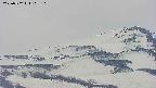 area4-20250502105106.jpg