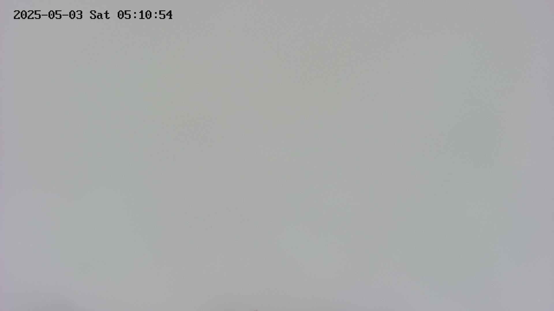 area4-20250503051054.jpg