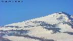 area4-20250503064055.jpg