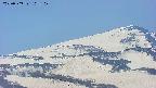 area4-20250503105111.jpg