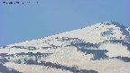 area4-20250503115109.jpg