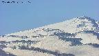 area4-20250503125118.jpg