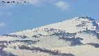 area4-20250503134136.jpg