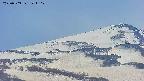 area4-20250503141122.jpg