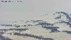 area4-20250503151110.jpg