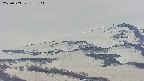 area4-20250503152106.jpg