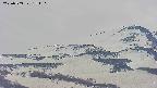 area4-20250503154108.jpg