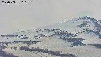 area4-20250503160114.jpg
