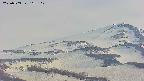 area4-20250503162113.jpg