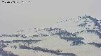 area4-20250503165112.jpg