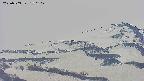area4-20250503170105.jpg