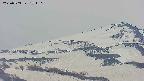 area4-20250503171106.jpg
