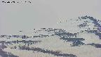 area4-20250503180111.jpg
