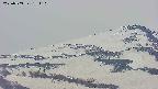 area4-20250503181109.jpg