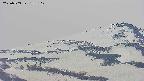 area4-20250503182113.jpg