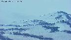 area4-20250503184107.jpg