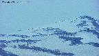 area4-20250503185105.jpg